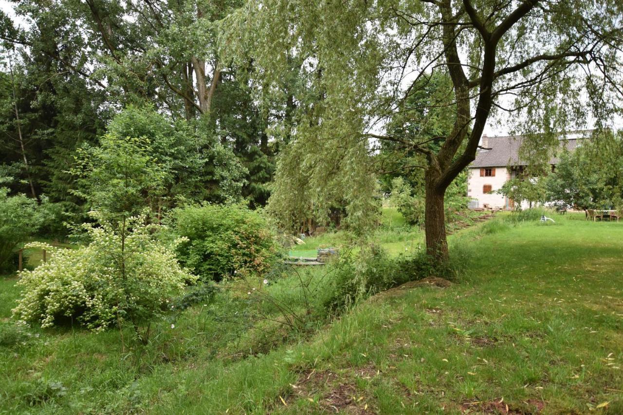 Serendipity Bed&Breakfast Saint-Die-des-Vosges Exterior photo